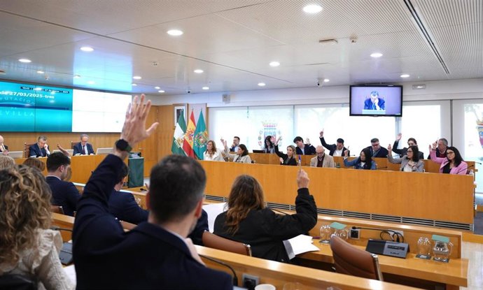 Imagen del pleno ordinario de marzo de la Diputación de Sevilla