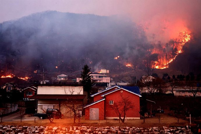 Imagen de archivo de los incendios forestales en Corea del Sur.
