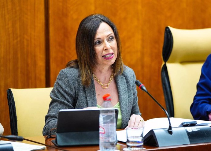 La consejera de Fomento, Articulación del Territorio y Vivienda, Rocío Díaz, en comisión parlamentaria