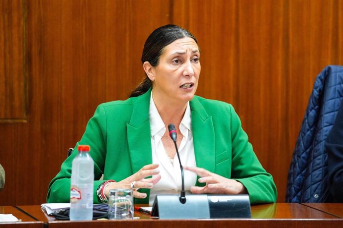 La consejera de Inclusión Social, Juventud, Familias e Igualdad, Loles López, en comisión parlamentaria.