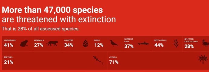 El número de especies de hongos en la Lista Roja de la UICN llega a 1.300 tras la incorporación de 482.