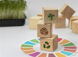 La Loyola presenta una guía para integrar la Agenda 2030 en el ámbito universitario andaluz.