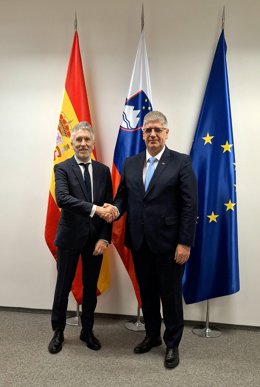O Ministro do Interior, Fernando Grande-Marlaska, e seu colega esloveno, Bostjan Poklukar, em uma reunião em Ljubljana.