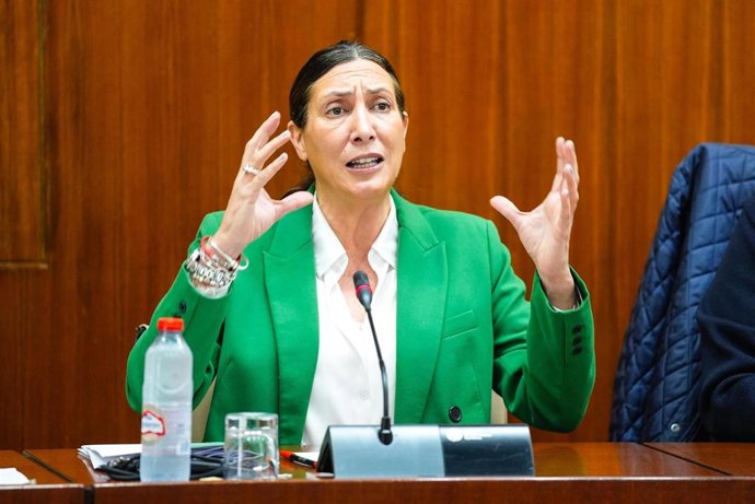 La consejera de Inclusión Social, Familias, Juventud e Igualdad, Loles López, en comisión parlamentaria a fecha de 27 de marzo de 2025.