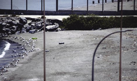 Migración