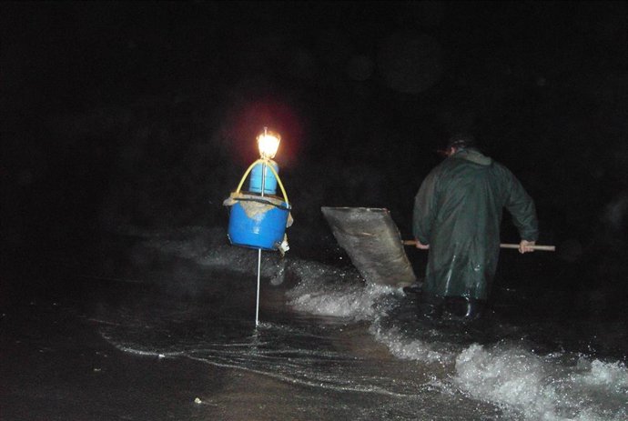 Archivo - Pesca de la angula.