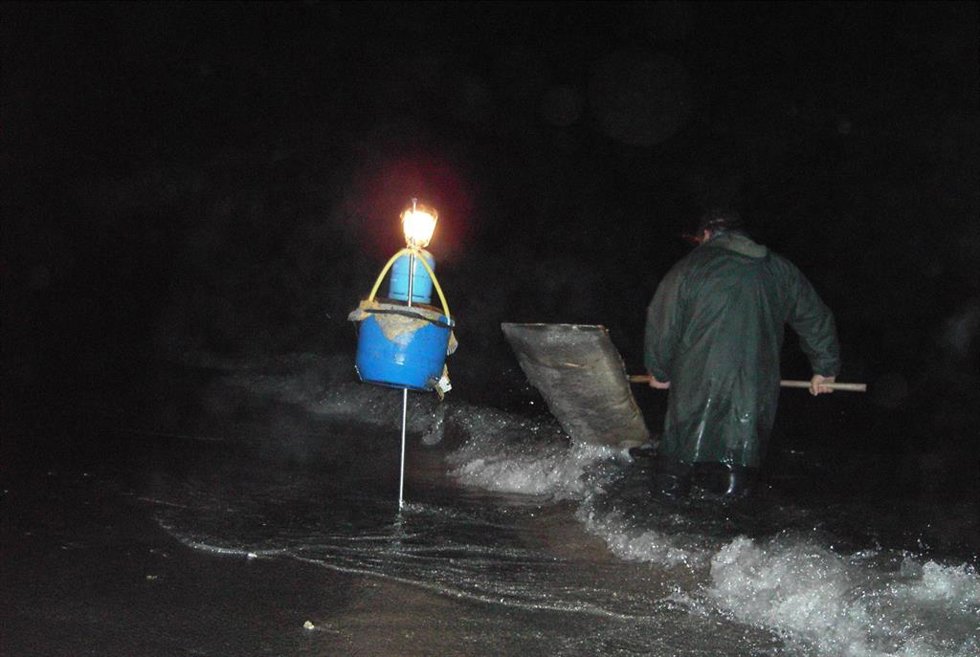 Archivo - Pesca de la angula.