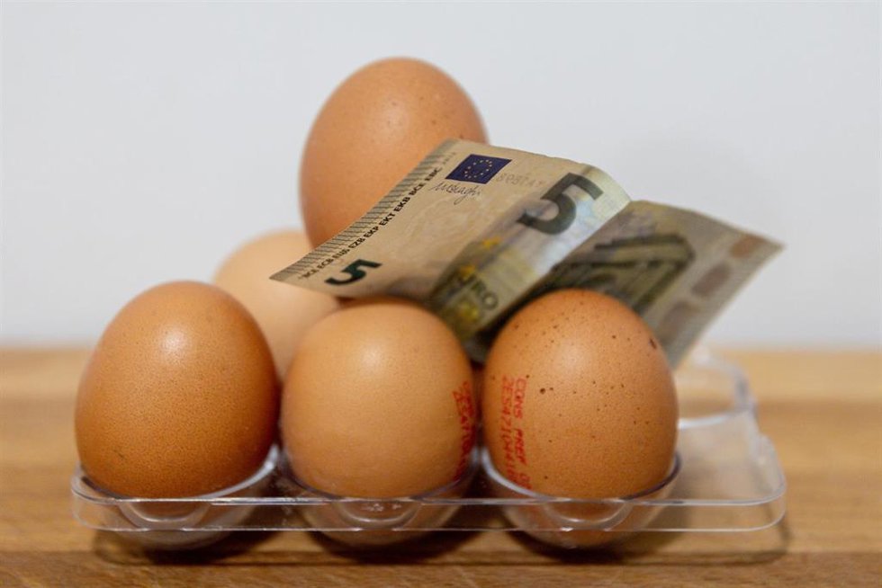 Varios huevos y dinero, a 19 de marzo de 2025, en Madrid (España). 