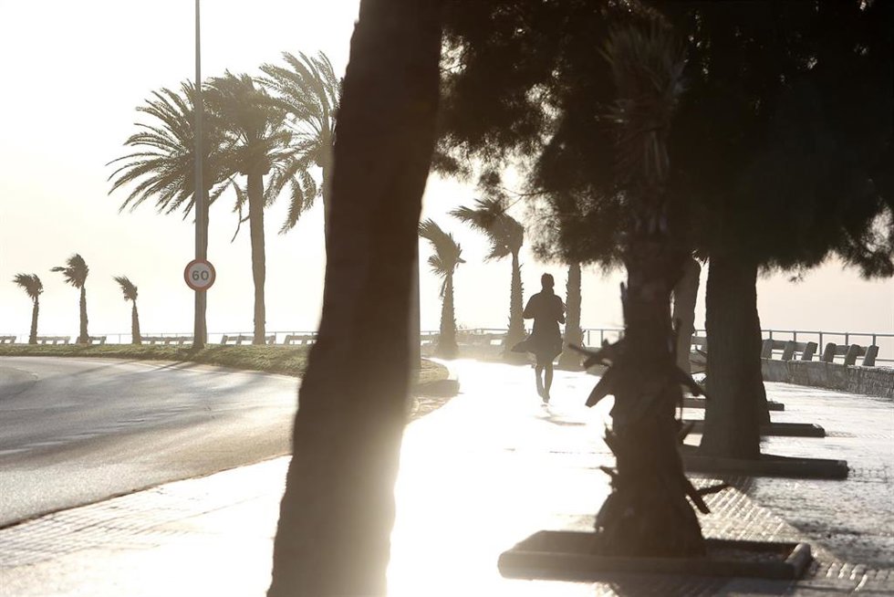 Archivo - Paseo Marítimo de Palma.