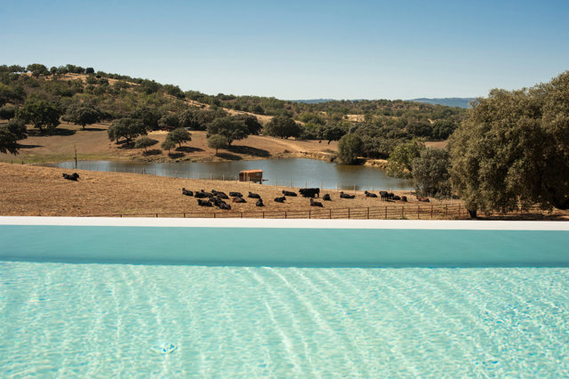 Hábitat Cigüeña Negra