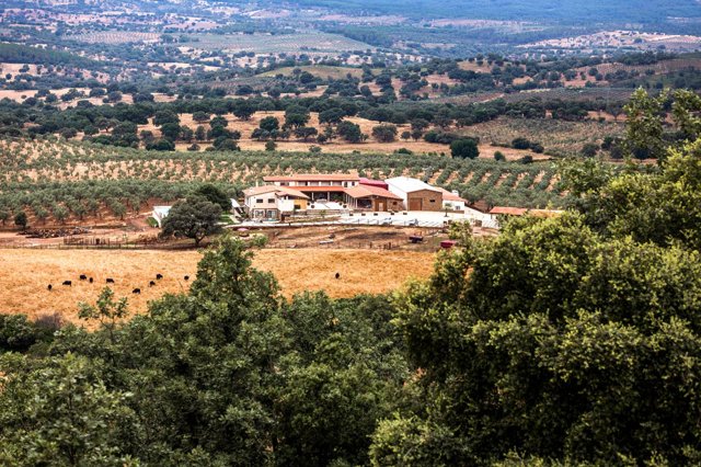 Hábitat Cigüeña Negra