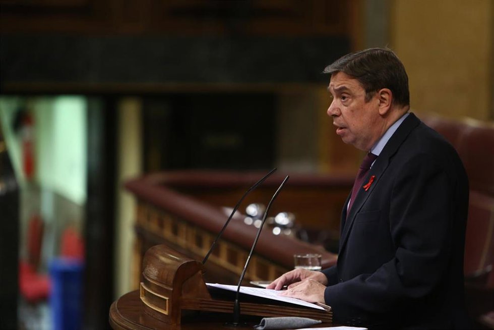 Archivo - El ministro de Agricultura, Pesca y Alimentación, Luis Planas, en una imagen de archivo.