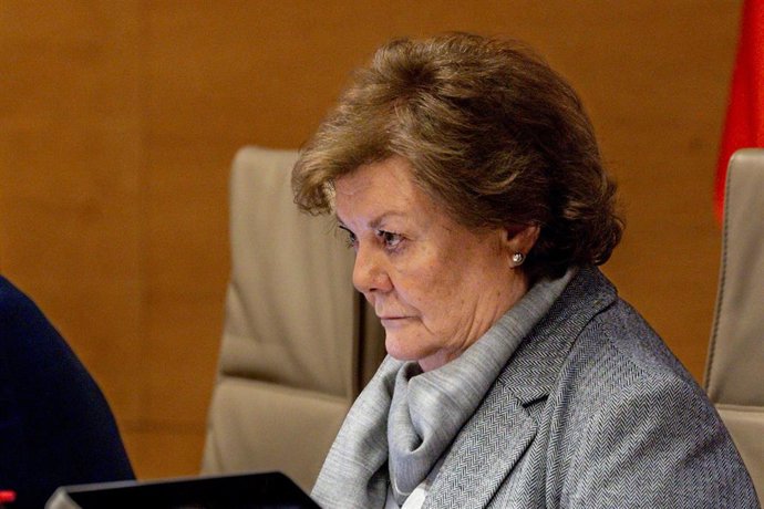 Archivo - La presidenta del Tribunal de Cuentas, Enriqueta Chicano, en una comparecencia en el Congreso