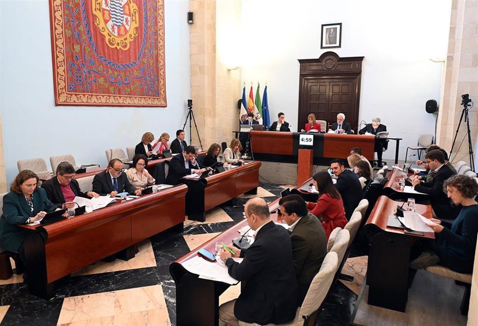 Pleno ordinario del Ayuntamiento de Jerez del mes de marzo.