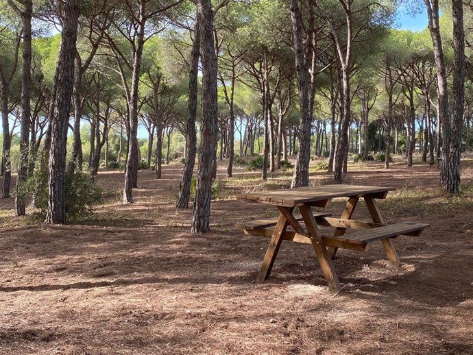 Pinar de Pozos de la Piedad-Pinar de Coig en El Puerto de Santa María (Cádiz).