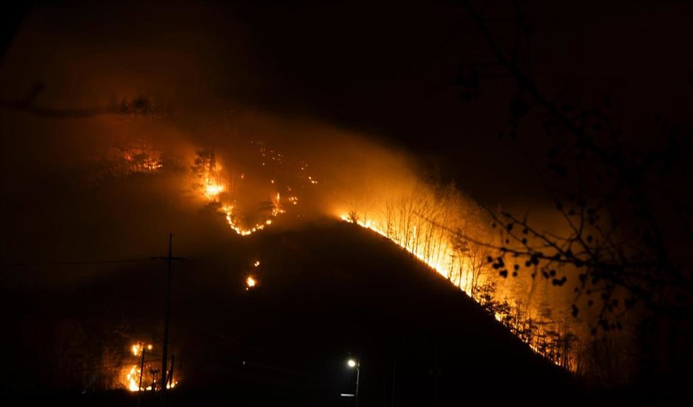 Incendios forestales en Corea del Sur.