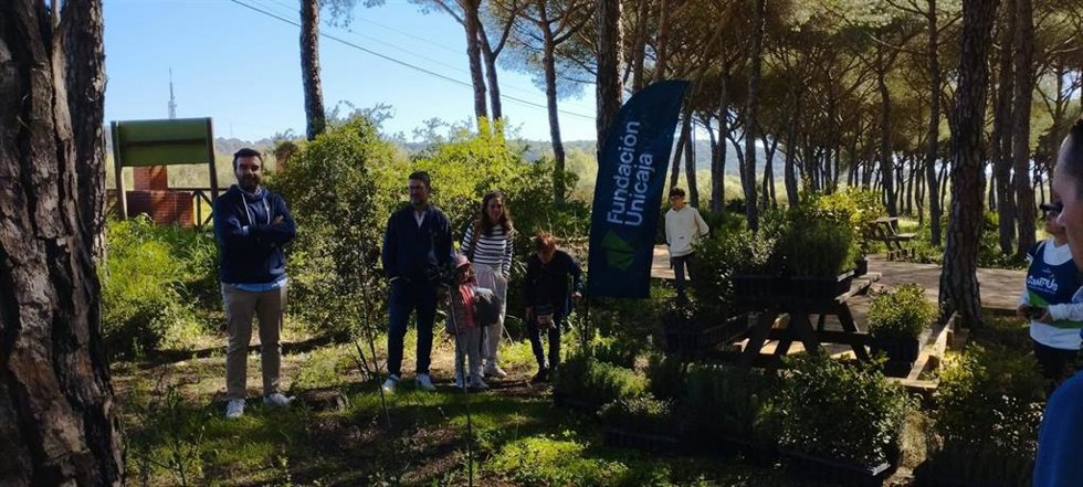Imagen de la reforestación del Pinar de Coig en el Puerto de Santa María (Cádiz).