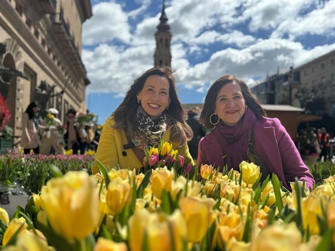 La alcaldesa de Zaragoza, Natalia Chueca, junto a la consejera municipal de Cultura, Educación y Turismo, Sara Fernández, en el mercado solidario de tulipanes de la plaza del Pilar.
