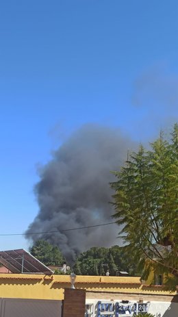 Bomberos trabajan para extinguir un incendio en una parcela rural de Bétera con palmeras y palés