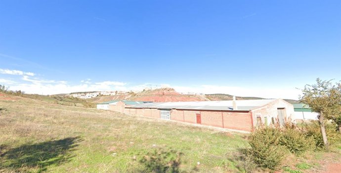 Camino Real de Andalucía, en Albaladejo.