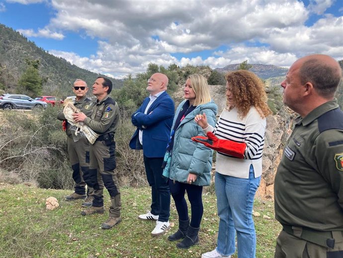 Suelta del águila en Bogarra.