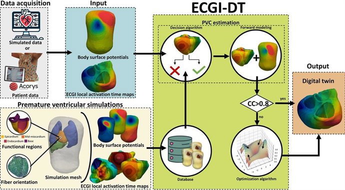 Un equipo de la UPV desarrolla un método no invasivo para mejorar el diagnóstico y tratamientos de arritmias cardiacas