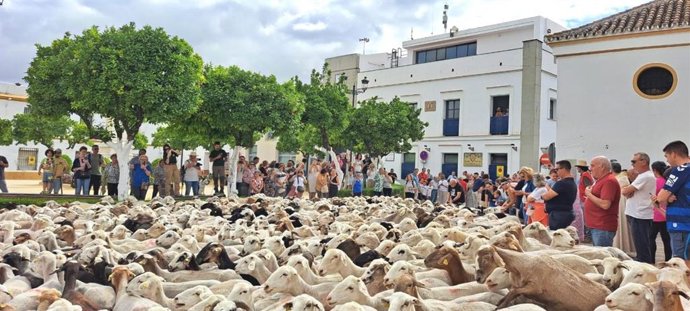 Imagen de una interterminancia como la prevista para el I Foro de la Conservación de la Naturaleza