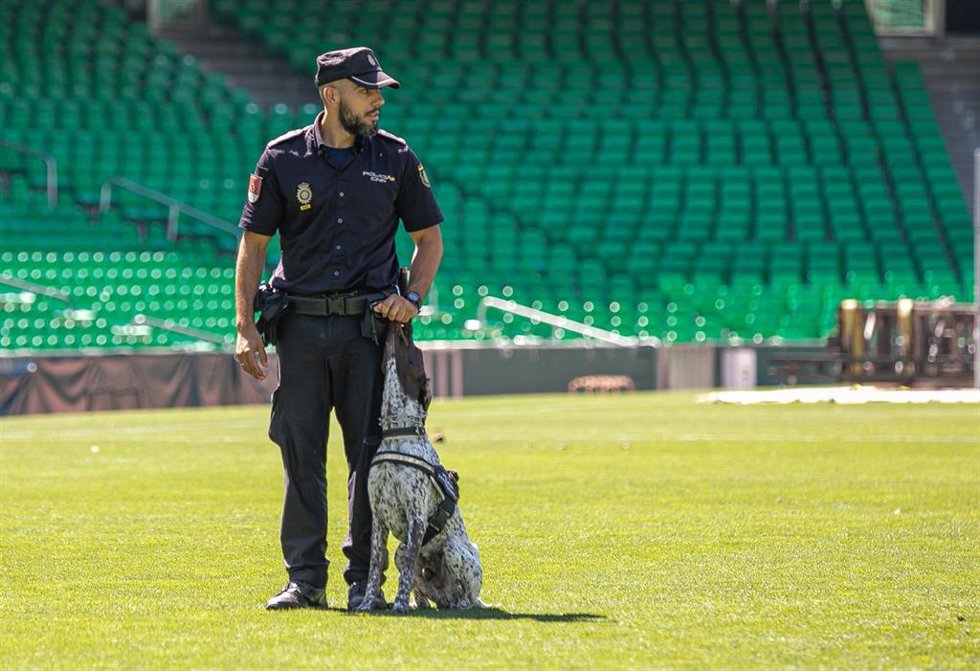 Archivo - Un agente de la Unidad Especial de la Policía en el estadio Benito Villamarín, en foto de archivo.