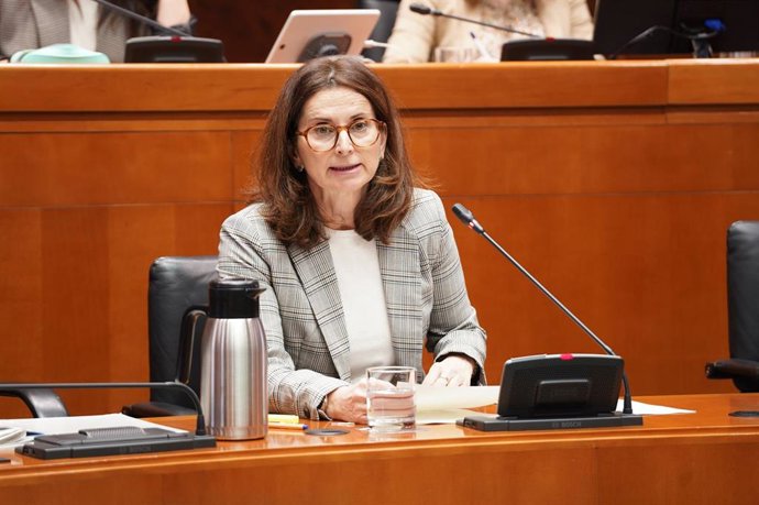 Archivo - La directora general de Financiación y Fondos Europeos del Gobierno de Aragón, Isabel Martín-Retortillo.