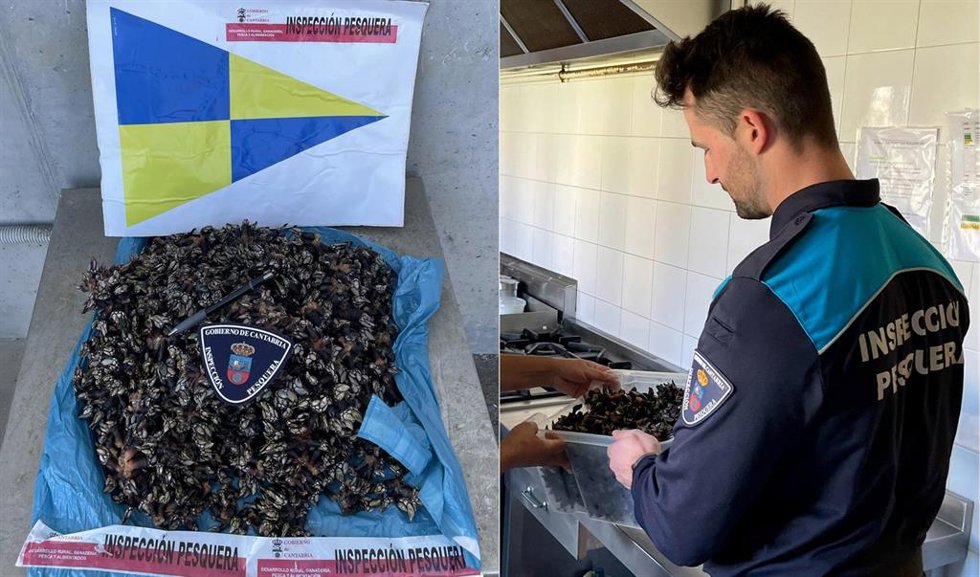 Percebes intervenidos a un pescador furtivo en Tagle
