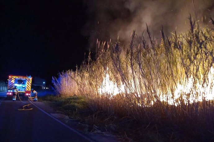 Incendio de cañas y matorral declarado en la ribera del río Segura en el paraje de El Menjú, en el municipio de Cieza (Murcia)