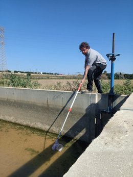 Muestreo Acequia Oro
