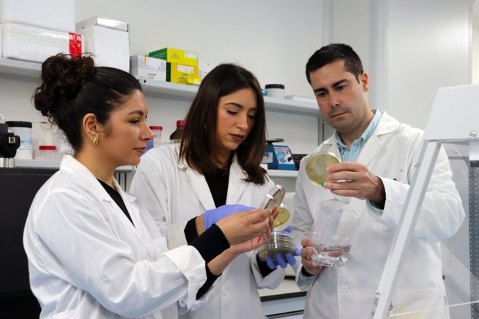 Integrantes del grupo de investigación observan una placa de petri.