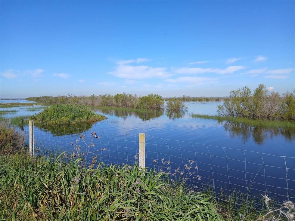 Marisma de Doñana inundada.