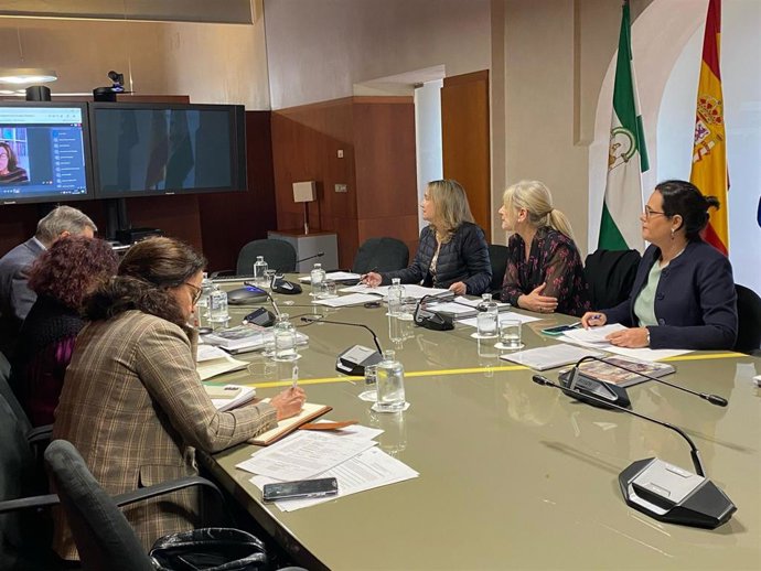 Sesión celebrada esta mañana del Consejo Andaluz del Patrimonio Histórico.