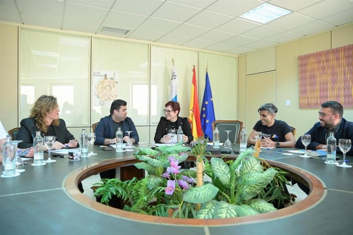 La consejera de Bienestra Social del Gobierno de Canarias, Candelaria Delgado, preside la constitución del comité de igualdad social