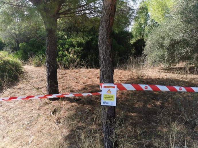Archivo - Zonas intervenidas por el Ayuntamiento de Puerto Real para controlar la presencia de mosquitos con Virus de la Fiebre del Nilo en una imagen de archivo.