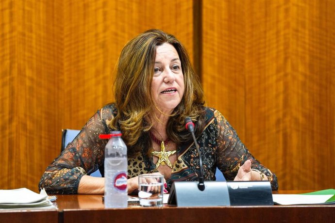 La consejera de Desarrollo Educativo y Formación, María del Carmen Castillo, en comisión parlamentaria a fecha de 01 de abril de 2025.