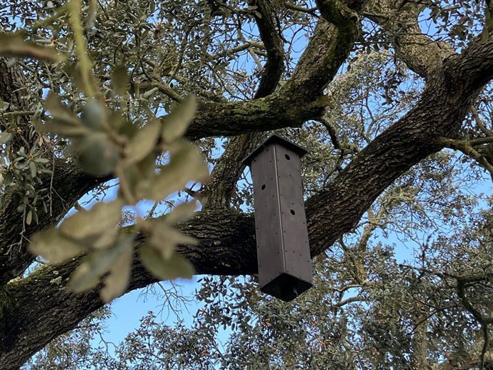 Una de las nuevas cajas de biodiversidad con oquedades diseñadas específicamente para albergar distintas especies de aves.