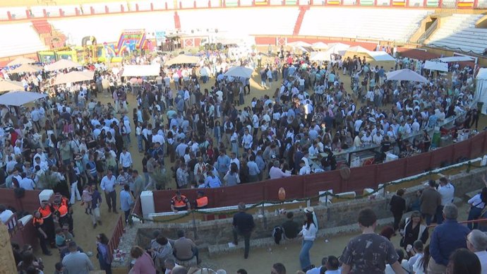 Imagen de la marcha hípica solidaria en la plaza de toros