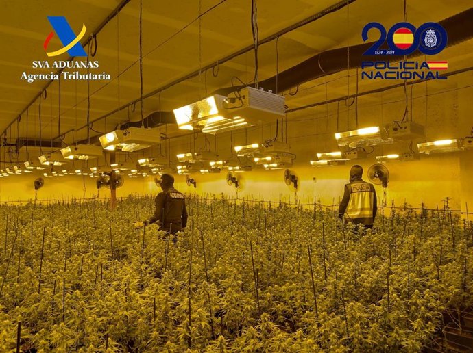 Vídeo de la noticia