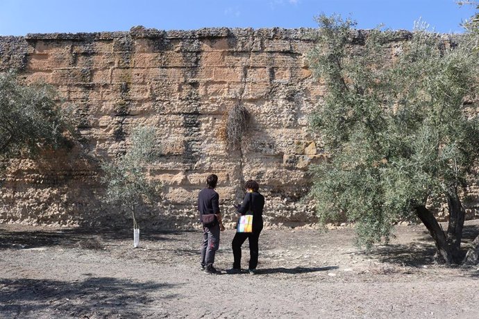 Archivo - Trabajos en el yacimiento arqueológico de Úbeda La Vieja