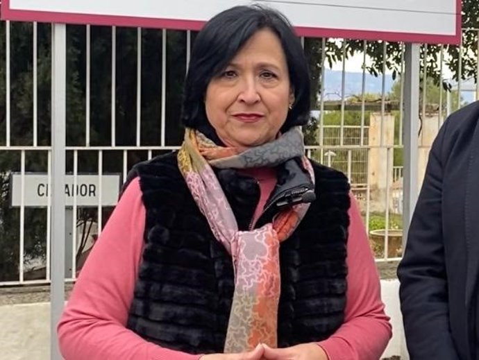 La diputada provincial del PSOE en Granada Francisca Santaella.