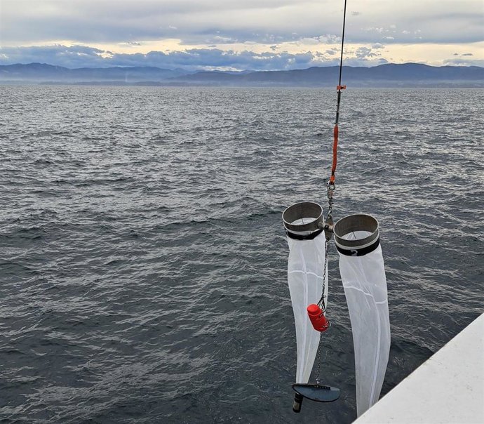El Ministerio de Pesca y el IEO evalúan la población de caballa y jurel en el Cantábrico y el golfo de Vizcaya