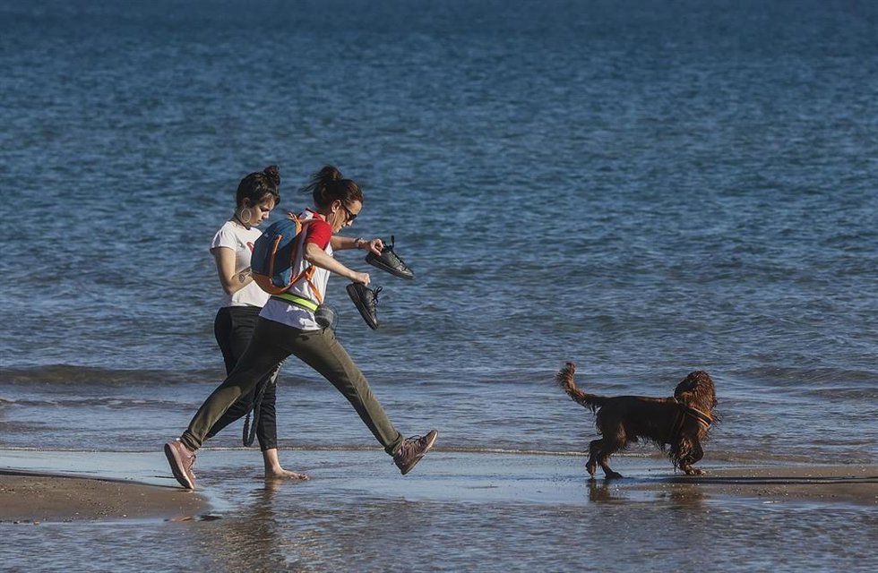 Archivo - Dos chicas pasean con un perro por la orilla de la playa.