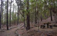 Prohibidos accesos a zonas recreativas y senderos del monte de Tenerife con la llegada de la borrasca 'Nuria'