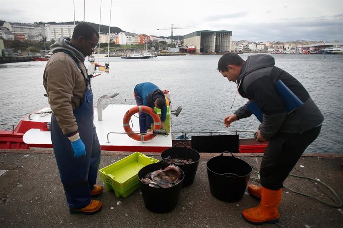 Archivo - Tres personas descargan la pesca tras una salida a faenar del barco ‘Mariñeiro 2’, a 27 de diciembre de 2023, en Lugo, Galicia (España). El barco ‘Mariñeiro 2’, con base en Burela, suele pescar pulpo, nécoras, centollas y santiaguiños.