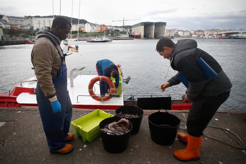 Archivo - Tres personas descargan la pesca tras una salida a faenar del barco Mariñeiro 2, a 27 de diciembre de 2023, en Lugo, Galicia (España). El barco Mariñeiro 2, con base en Burela, suele pescar pulpo, nécoras, centollas y santiaguiños.
