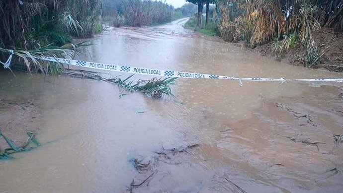 Arroyo desborado en Almonte por las precipitaciones de marzo.