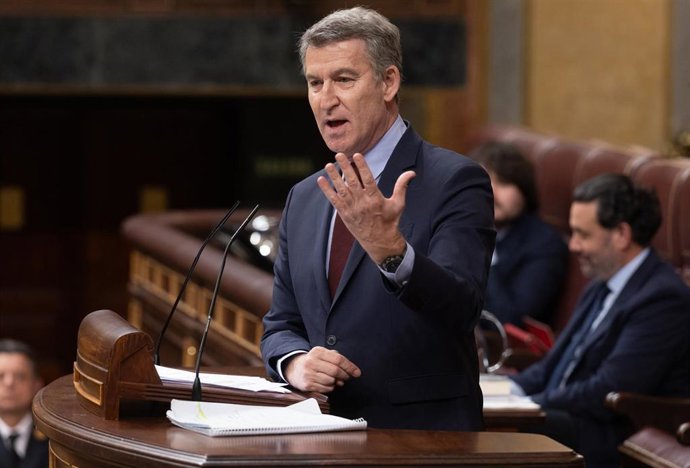 El presidente del PP, Alberto Núñez Feijóo, interviene durante una sesión plenaria en el Congreso de los Diputados, a 26 de marzo de 2025, en Madrid (España). 